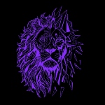 Amaziah Fitness - CrossFit Amaziah