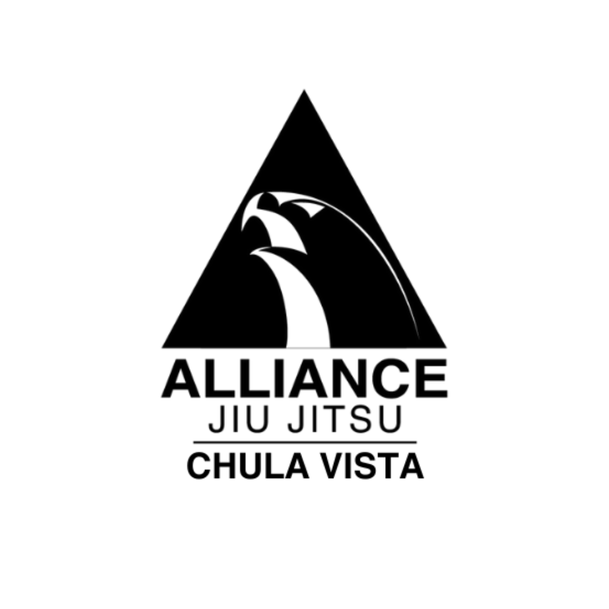 Alliance Jiu Jitsu Chula Vista