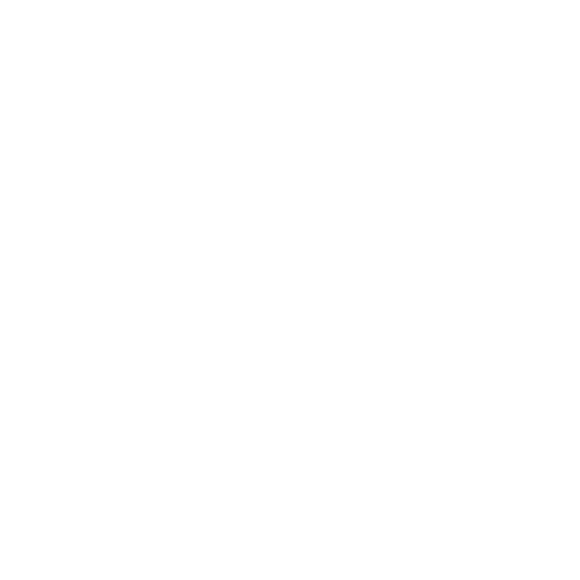 519 Jiu Jitsu